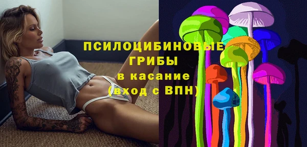 крисы Верхнеуральск
